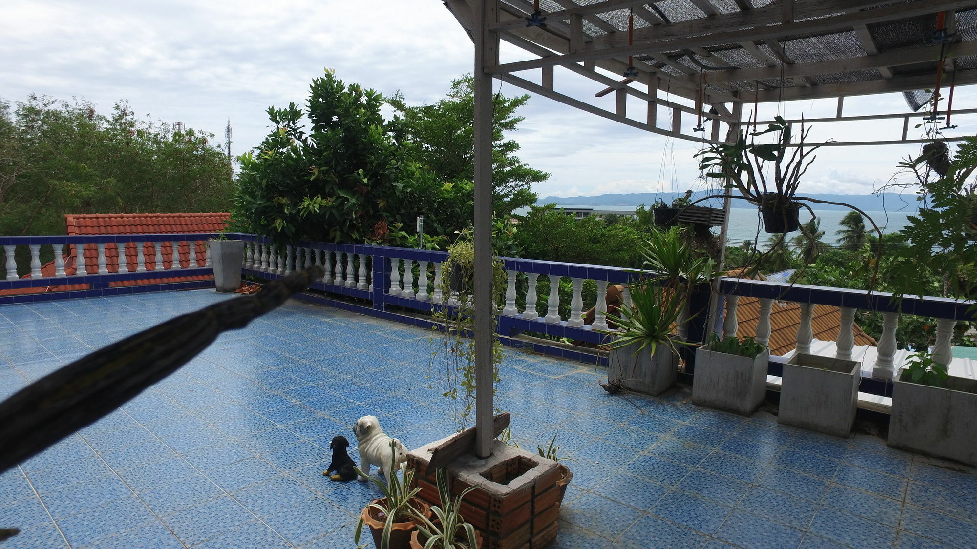 Tanyaporn House Hotel Haad Rin Exterior photo